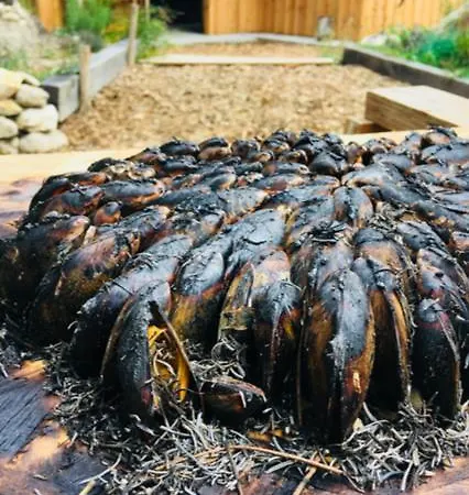 Les Aux Cercins Ferienhaus