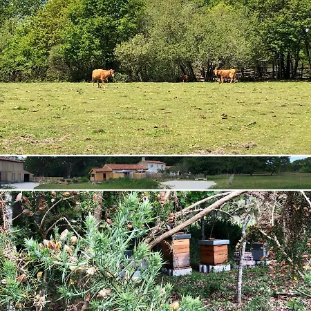 Holiday home Les Aux Cercins Vensac