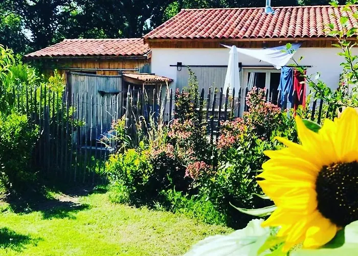 Les Aux Cercins 펜션 Vensac