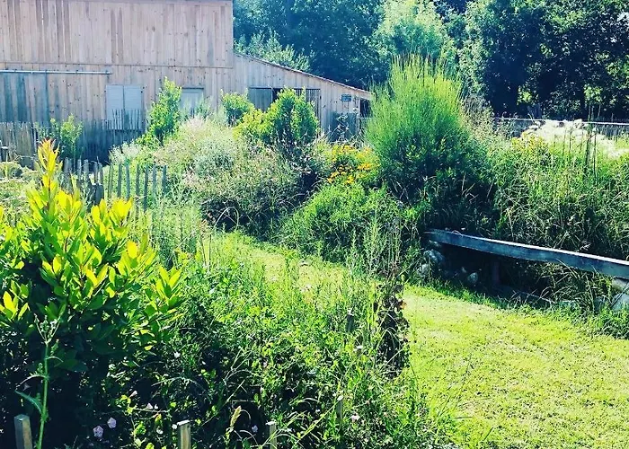 Les Aux Cercins Vensac