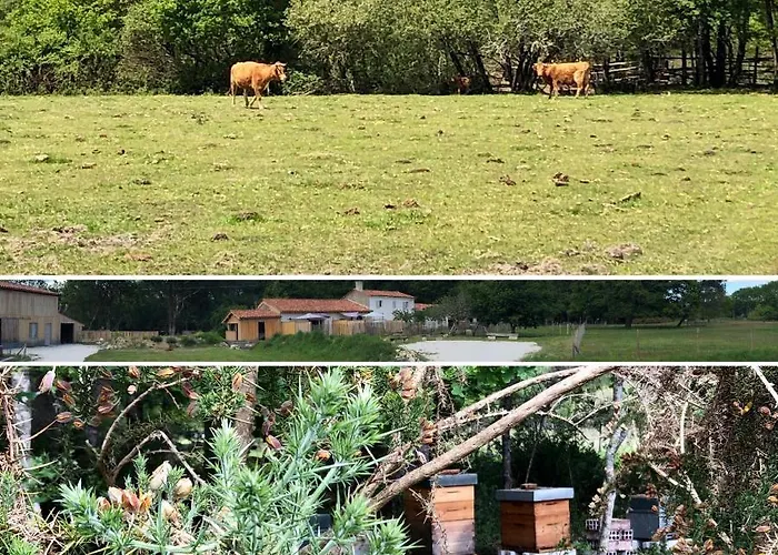 펜션 Les Aux Cercins Vensac