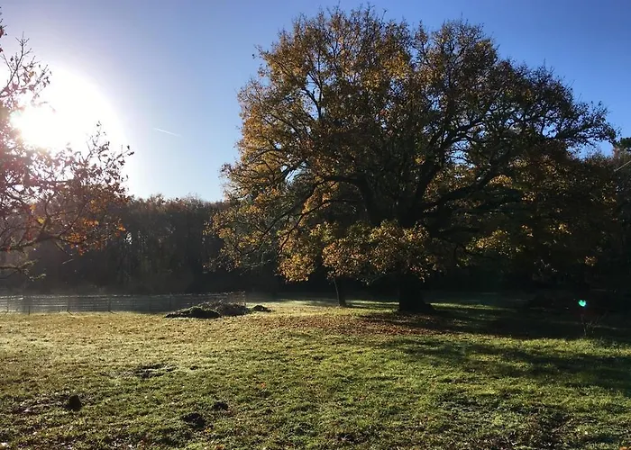 펜션 Les Aux Cercins